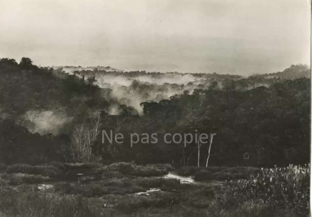 AMAZONIE 1952 Deux photos par DOMINIQUE DARBOIS Brésil Guyane