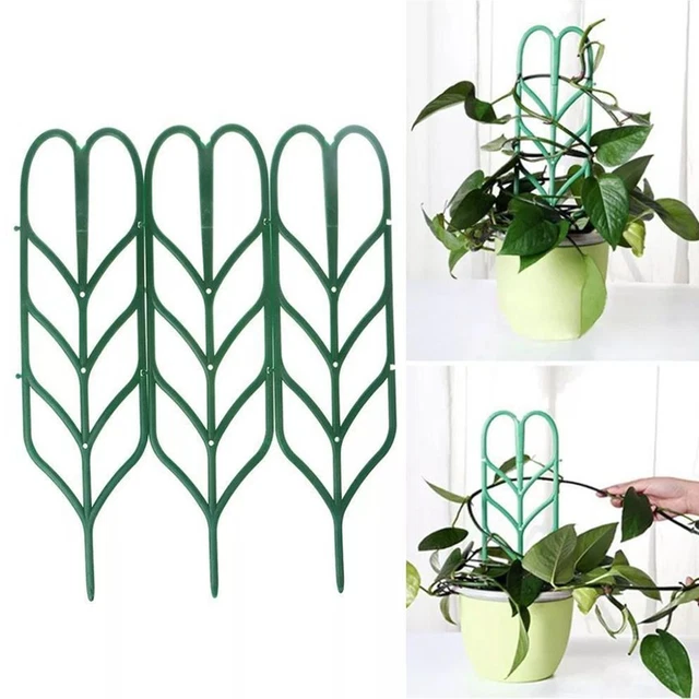 pieu Tige de fixation Support d'escalade Support pour plantes Cadre d'escalade