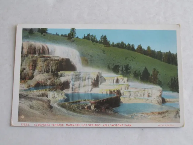 F281 Postcard Cleopatra Terrace Mammoth Hot Springs Yellowstone Park CO Colorado