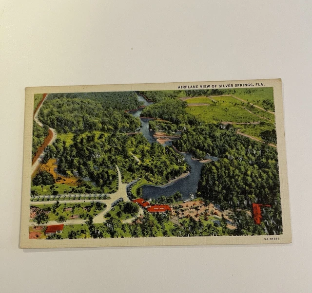 Linen Postcard Ocala, Florida~ AIRPLANE VIEW SILVER SPRINGS