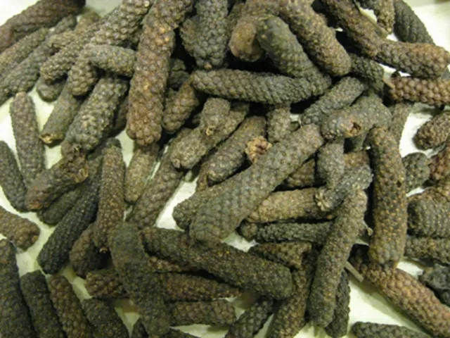 5 graines de POIVRE LONG ( Piper longum) N95 INDIAN LONG PEPPER SEEDS SAMEN SEMI