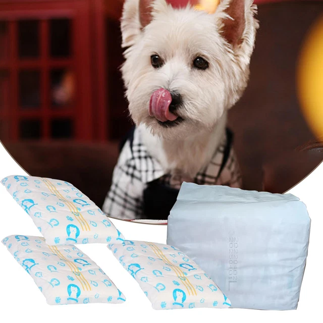 Pantalones sanitarios menstruales de temporada para perros cachorros mascotas K8M3 Lote I7