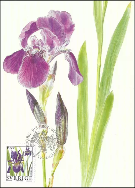 Siberian Iris Garden Flowers Sweden Mint Maxi FDC Card 1997