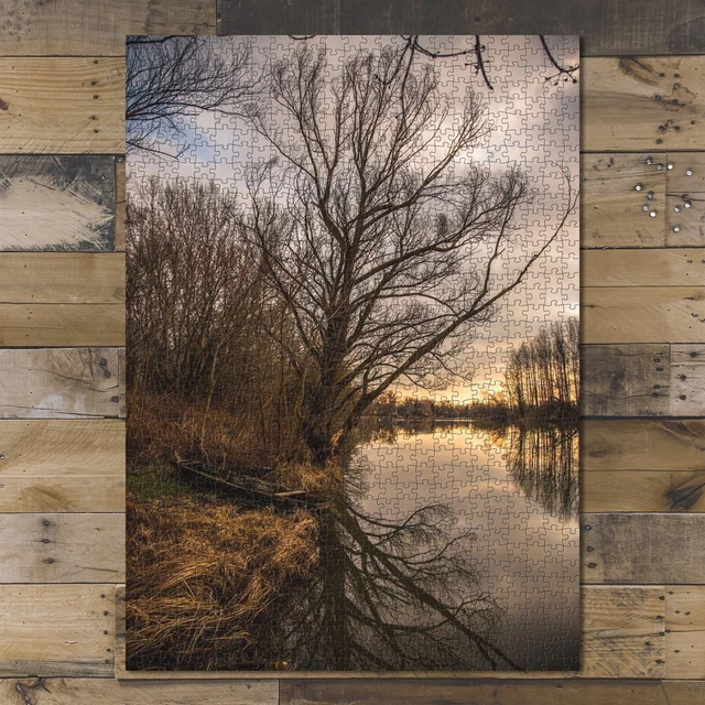 1000 piece puzzle for adults: River Landscape Nature