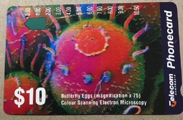 Telecom Phonecard, $5 magnetic, Butterfly Eggs, Australia, Rare, Used, Catalogue