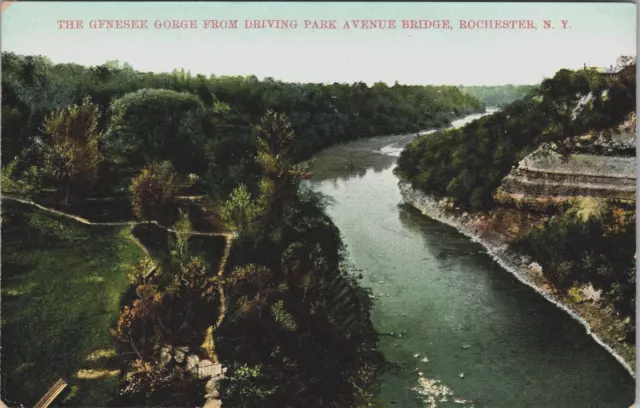 Postcard The Genesee Gorge From Driving Park Avenue Bridge Rochester New York