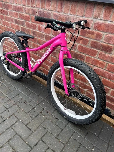 Trek roscoe 24 shop pink