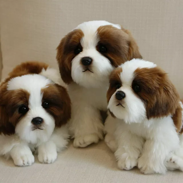 Lifelike Realistic Shih tzu Plush Dog Cute Puppy Stuffed Toy Kids Gift 1pc