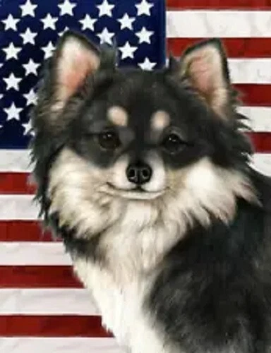 Patriotic (D2) Garden Flag - Longhaired Black and White Chihuahua 323581