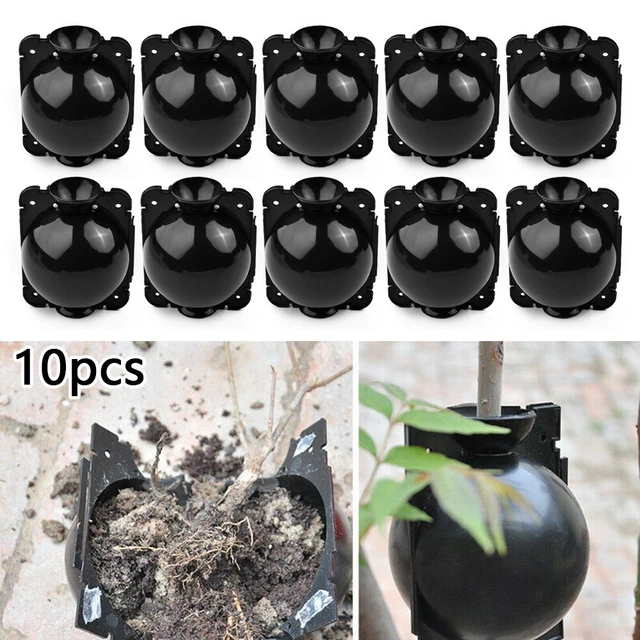 Pflanze Zuchtbox Schwarz Transplantation Ausrüstung Aussaat Botanik Garten