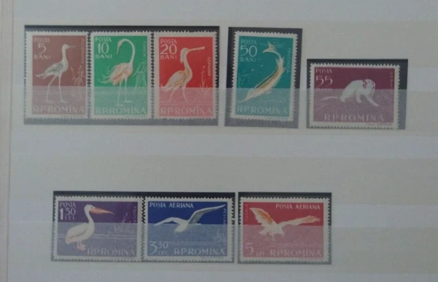 Rumänien 1957 Tierwelt des Donaudeltas MiNr1684-1685 **/MNH/Postfrisch