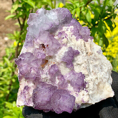 1.53LB Natural beautiful purple Fluorite Crystal Rough stone specimens cure 2