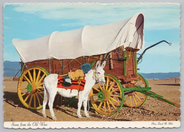 SCENE FROM OLD West~Mule & Conestoga Wagon~Virginia City Nevada ...