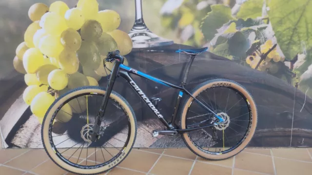 Cannondale fsi carbon lefty cheap