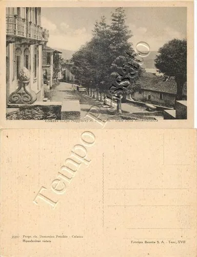 Cartolina di Colazza, viale alberato - Novara