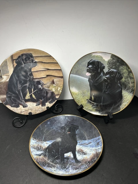 Franklin Mint Lot of 3  Plates Dogs Labs Labradors Nigel Hemming & John Trickett