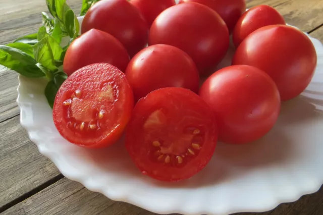 10 graines de tomate NASTEN'KA productive tolérance au froid tomato seeds m.bio