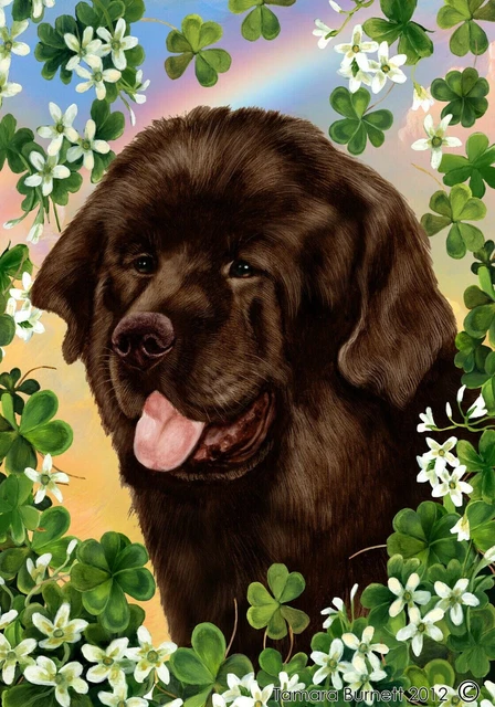 Clover House Flag - Chocolate Newfoundland 31910