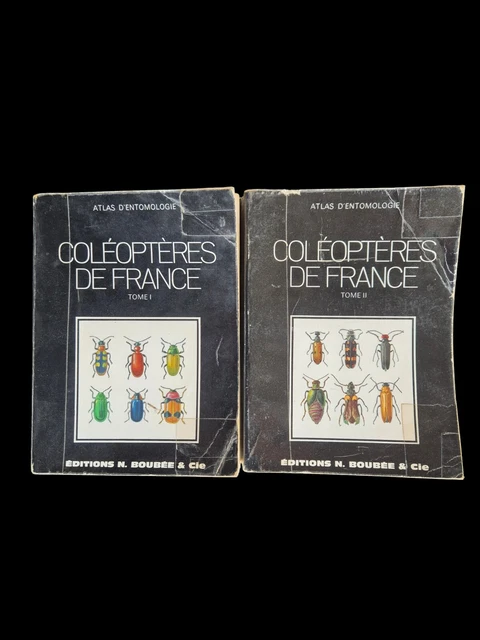 LES INSECTES - INITIATION A L'ENTOMOLOGIE | Lectures Entomologie