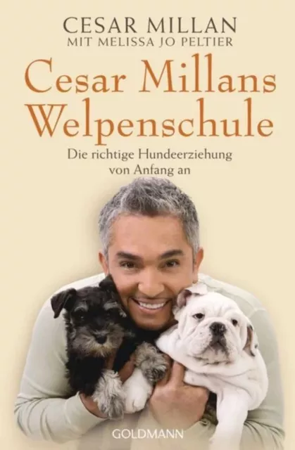 César Millan Welpenschule