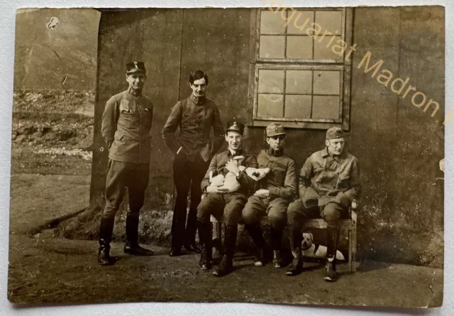 orig. Foto Soldaten Hunde Hund Tier um 1910 Kuk Armee Wien