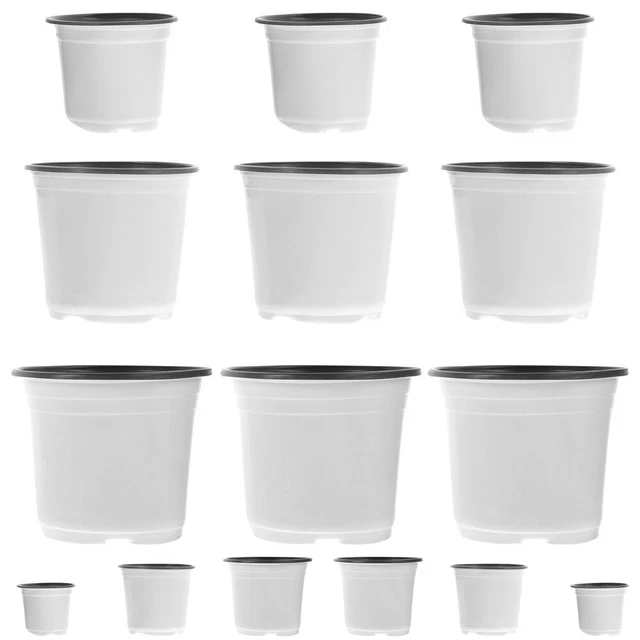 House Plants Indoors Live Plant Pots Succulent Plants