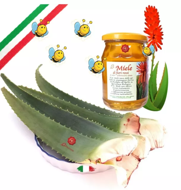 Foglie di Aloe Arborescens Etnea Fresche 1 kg + 500 gr di miele dei fiori rossi