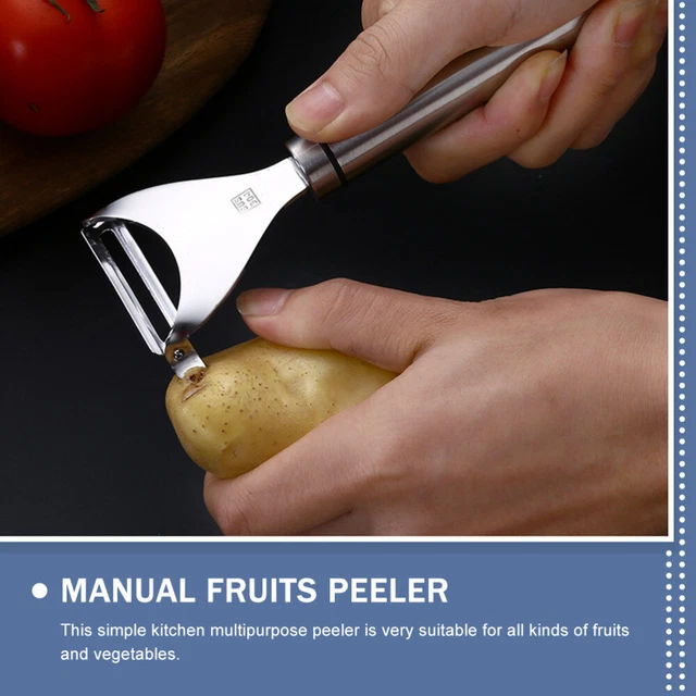 FytStycale Éplucheur Automatique De Raisin En Inox, Appareil