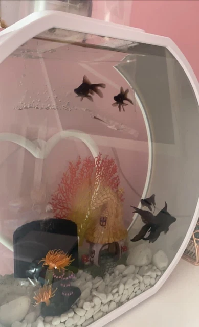 Fish Tank - White 3