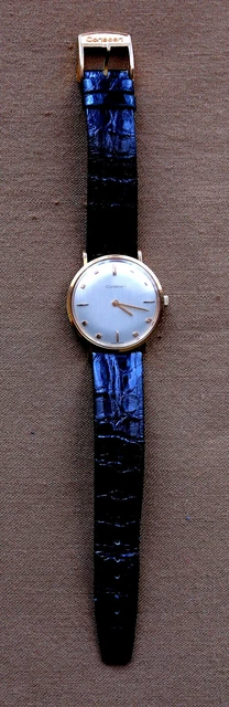 Montre Vintage Festina Années 60 - Mécanique Pour Homme, Style Rétro, Occasion à Vérifier