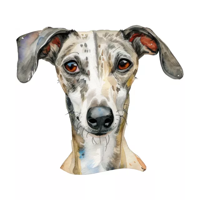 Designer Aufkleber / Sticker Fotosticker - Hunde -  Windhund Galgo Espanol 01