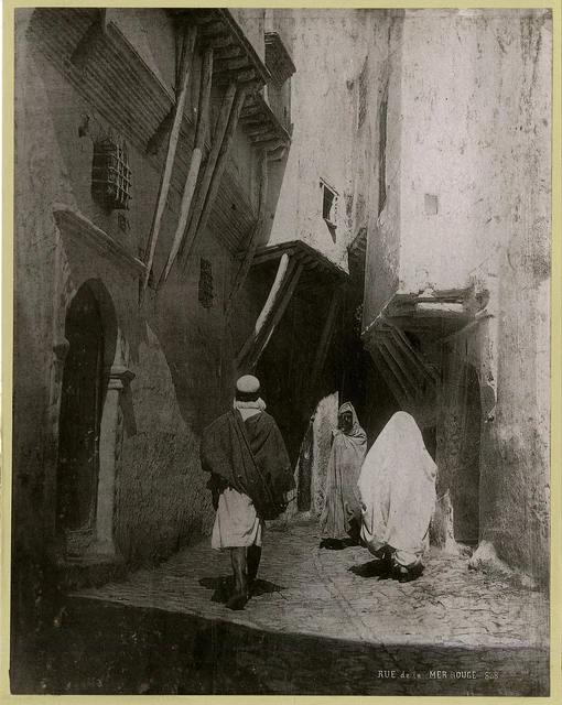 Algerie - Alger - Rue de la mer rouge - Stereoscopique