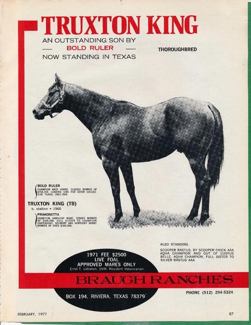 Magazine Ad - 1971 - Braugh Horse Ranch, Riviera, TX - TRUXTON KING