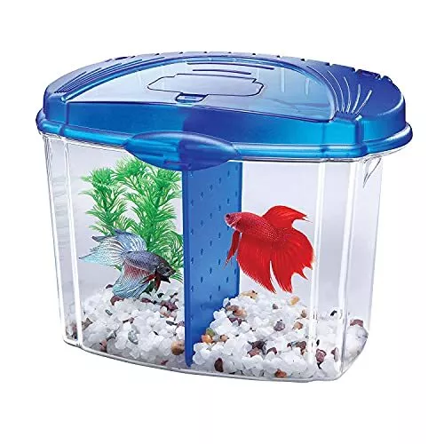 Aqueon Betta Bowl Aquarium Fish Tank Kit, Blue, Half Gallon  Assorted Styles 2