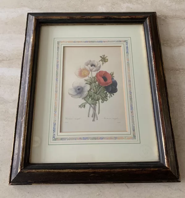 Vintage Framed P J Redoute Floral Botanical Print Picture