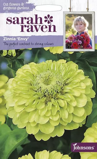 Zinnia envy  100 fresh seeds    zinnia seeds    flower seeds    mr fothergills