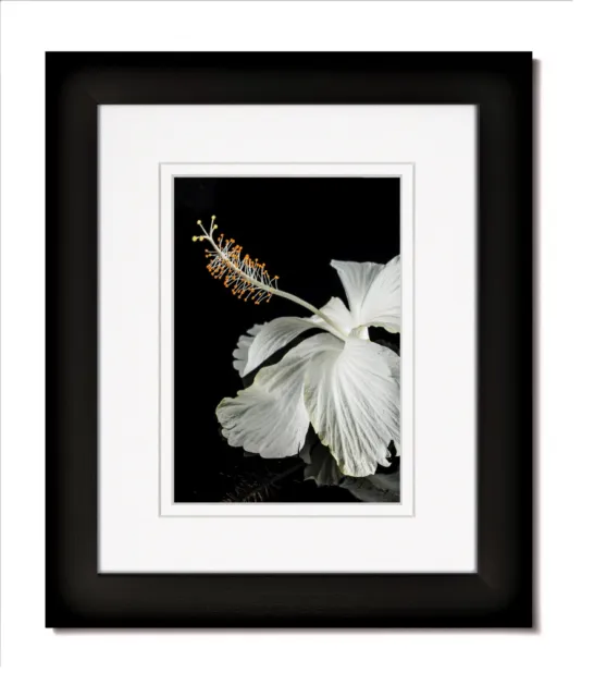 14x18 Matte Black Frame with Glass & Double White/White Mat for 10x13
