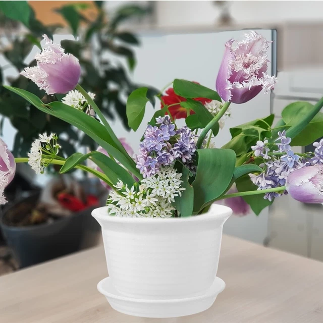 4pcs Kleine Desktop Pflanzer Runde Blumentopf mit Loch Ablauf Loch Topf 5