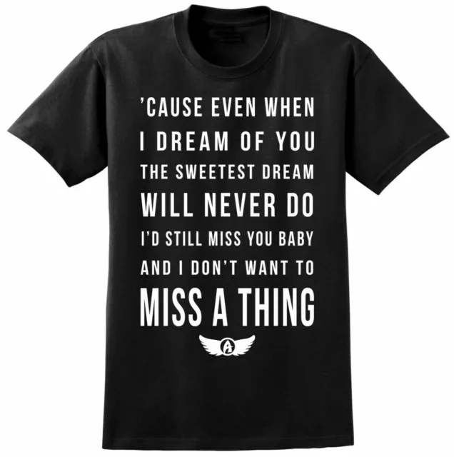 Aerosmith Inspired Music Lyrics T-shirt - Rock Band Tour Fan Tee - Kids Adult