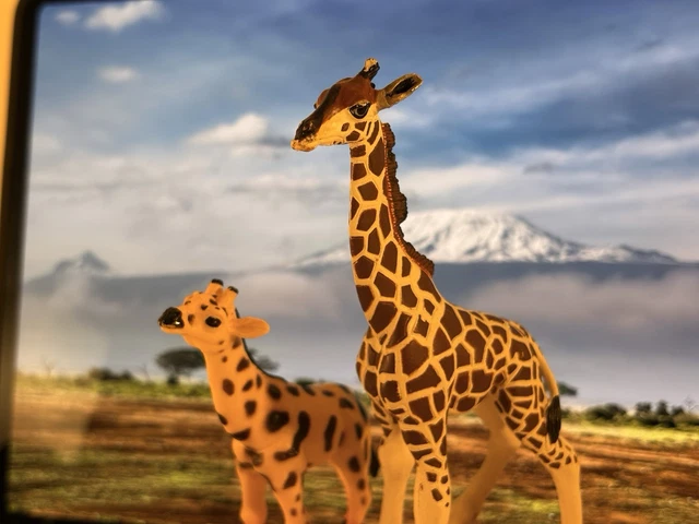 Safari Ltd Etalon Clydesdale 13.9cm | Non Toxique Et Sans BPA