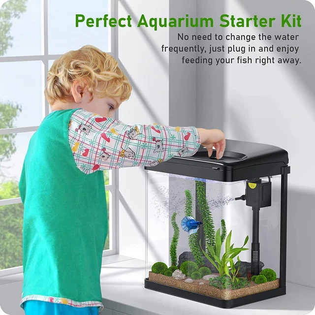 Betta Fish Tank, 2 Gallon Glass Aquarium, 3 in 1 Fish Tank with Filter and Light 2