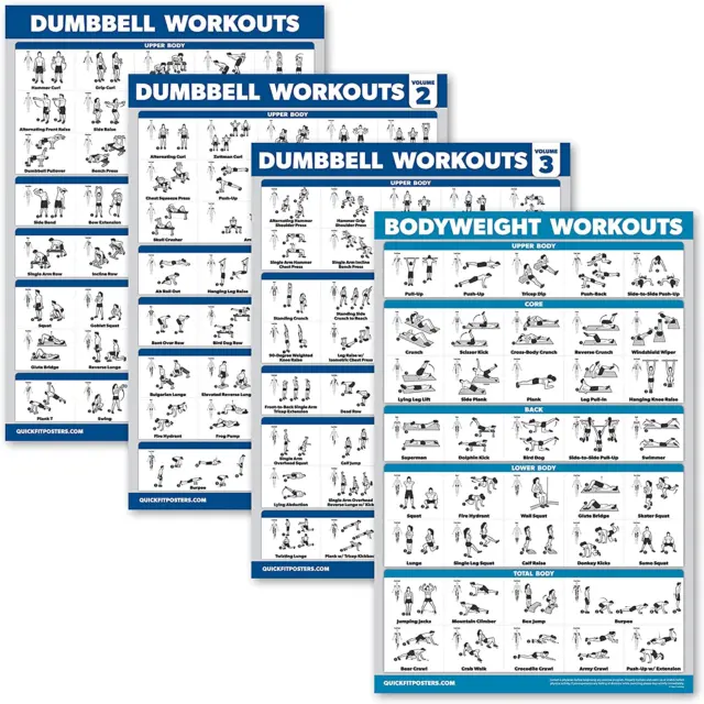 Palace Learning 4 Pack - Dumbbell Workout Posters Volume 1, 2 & 3 + Bodyweight -
