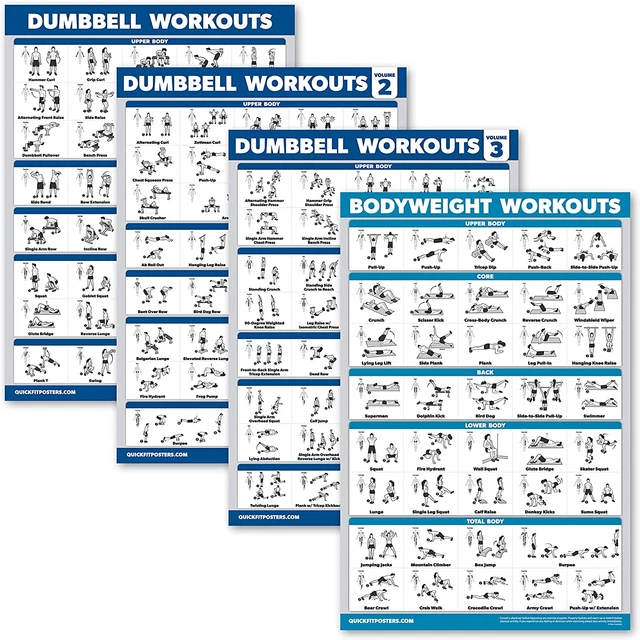 Palace Learning 4 Pack - Dumbbell Workout Posters Volume 1, 2 & 3 + Bodyweight -