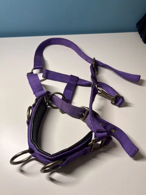 Pony Lunge Cavesson Purple