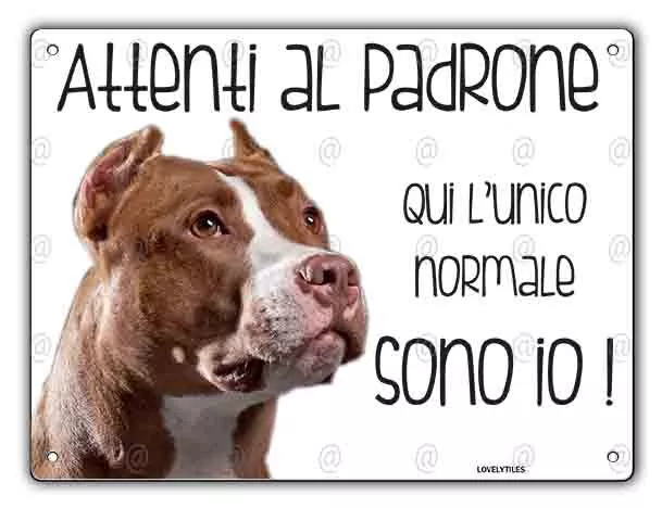 Cartello cane Pitbull ATTENTI AL PADRONE QUI L'UNICO NORMALE SONO IO