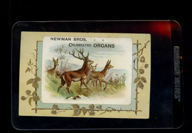 1900s CHICAGO IL NEWMAN BROS ADVERTISING PIANO ORGAN SLAGEL CO POSTCARD ILLINOIS