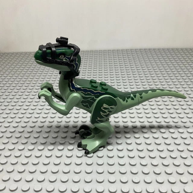 LEGO JURASSIC WORLD Raptor07 Raptor Dinosaur Velociraptor Blue ...