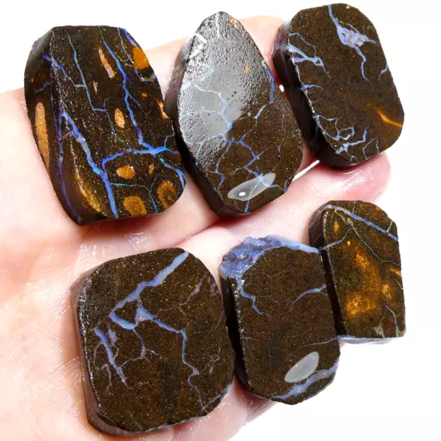 302.40 CT Australian Black Boulder OPAL Rough Unpolished Rubs 6 Gems Video RAW