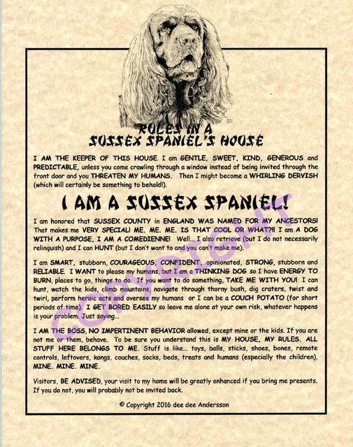 Rules In A Sussex Spaniel's House