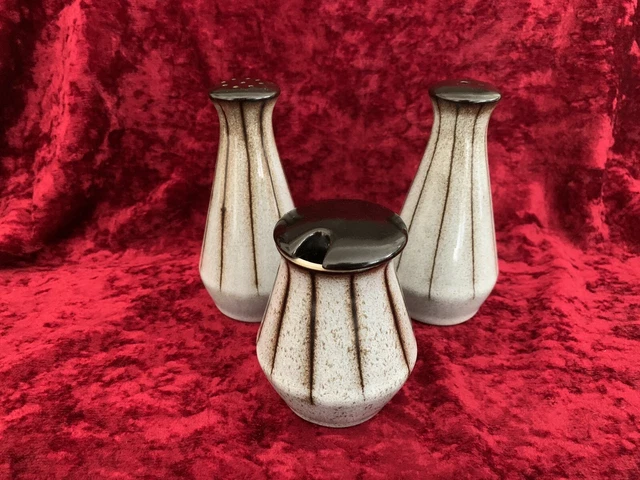 1960er/70er Denby Bourne Studio Muster Steinzeug grau gestreift Gewürz Set